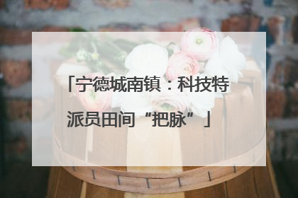 宁德城南镇：科技特派员田间“把脉”