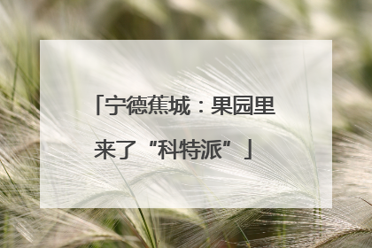 宁德蕉城：果园里来了“科特派”