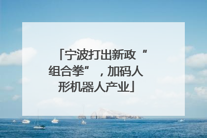 宁波打出新政“组合拳”，加码人形机器人产业