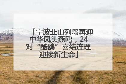 宁波韭山列岛再迎中华凤头燕鸥，24对“酷鸥”喜结连理迎接新生命