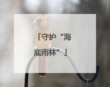 守护“海底雨林”