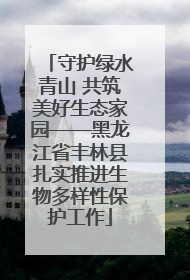 守护绿水青山 共筑美好生态家园——黑龙江省丰林县扎实推进生物多样性保护工作