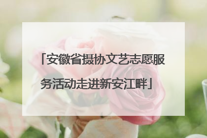 安徽省摄协文艺志愿服务活动走进新安江畔