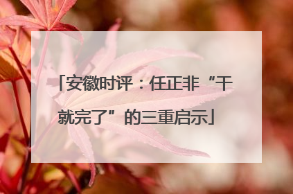 安徽时评：任正非“干就完了”的三重启示