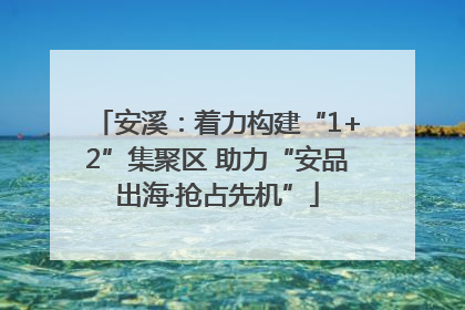 安溪：着力构建“1+2”集聚区 助力“安品出海·抢占先机”