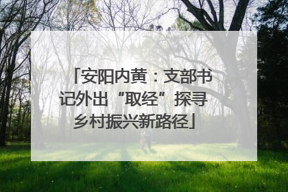 安阳内黄：支部书记外出“取经”探寻乡村振兴新路径