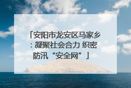 安阳市龙安区马家乡：凝聚社会合力 织密防汛“安全网”