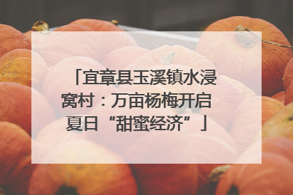 宜章县玉溪镇水浸窝村：万亩杨梅开启夏日“甜蜜经济”