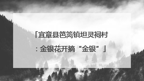 宜章县笆篱镇坦灵祠村：金银花开摘“金银”