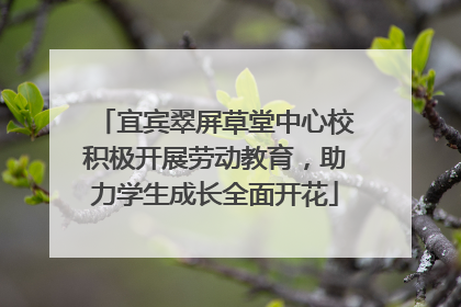 宜宾翠屏草堂中心校积极开展劳动教育，助力学生成长全面开花