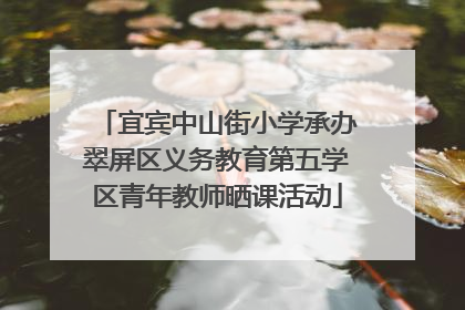 宜宾中山街小学承办翠屏区义务教育第五学区青年教师晒课活动