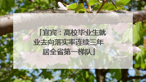 宜宾：高校毕业生就业去向落实率连续三年居全省第一梯队