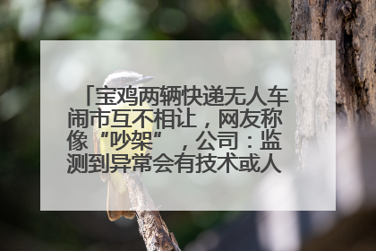 宝鸡两辆快递无人车闹市互不相让，网友称像“吵架”，公司：监测到异常会有技术或人为干预处置