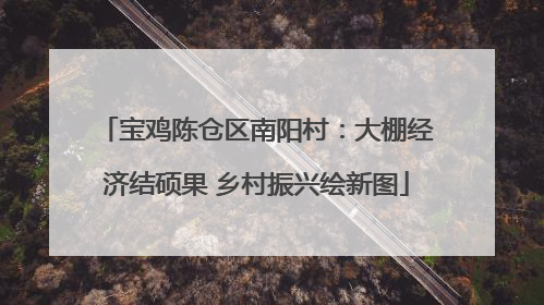 宝鸡陈仓区南阳村：大棚经济结硕果 乡村振兴绘新图
