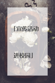 宣传活动进校园