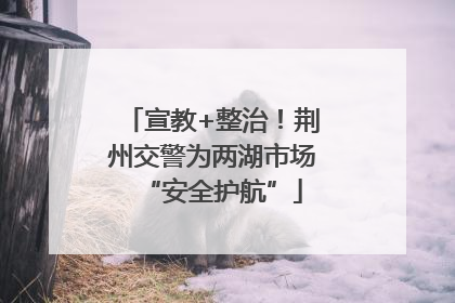 宣教+整治！荆州交警为两湖市场“安全护航”
