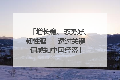 增长稳、态势好、韧性强……透过关键词感知中国经济