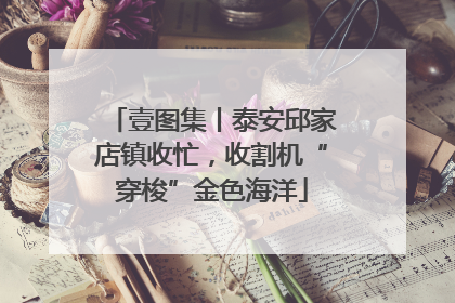 壹图集丨泰安邱家店镇收忙，收割机“穿梭”金色海洋