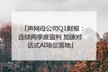 声网母公司Q1财报：连续两季度盈利 加速对话式AI场景落地