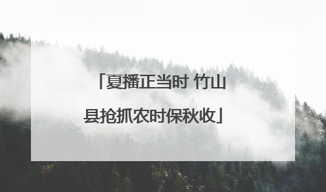 夏播正当时 竹山县抢抓农时保秋收