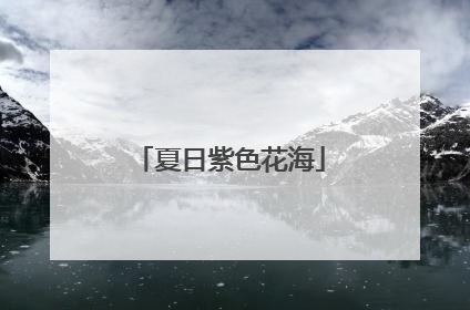 夏日紫色花海