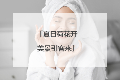 夏日荷花开 美景引客来