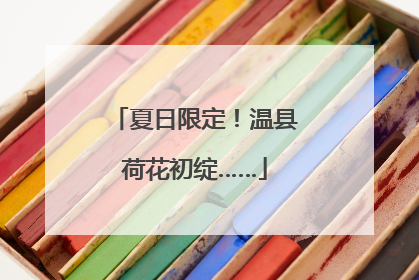 夏日限定！温县荷花初绽……