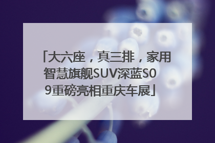 大六座，真三排，家用智慧旗舰SUV深蓝S09重磅亮相重庆车展