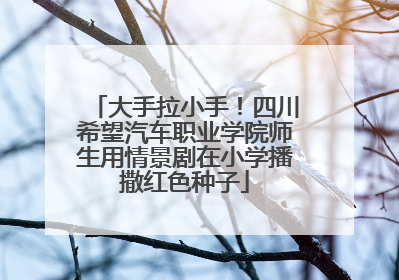 大手拉小手！四川希望汽车职业学院师生用情景剧在小学播撒红色种子