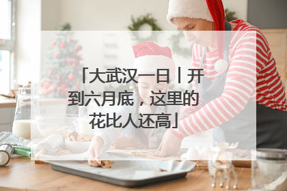 大武汉一日︱开到六月底，这里的花比人还高