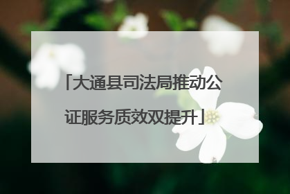 大通县司法局推动公证服务质效双提升