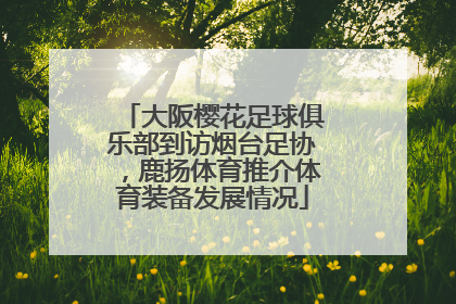 大阪樱花足球俱乐部到访烟台足协，鹿扬体育推介体育装备发展情况