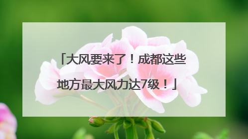大风要来了！成都这些地方最大风力达7级！