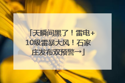 天瞬间黑了！雷电+10级雷暴大风！石家庄发布双预警→