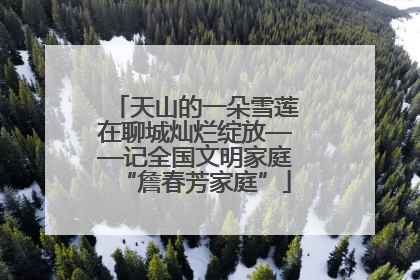 天山的一朵雪莲在聊城灿烂绽放——记全国文明家庭“詹春芳家庭”