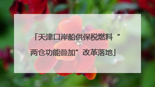 天津口岸船供保税燃料“两仓功能叠加”改革落地