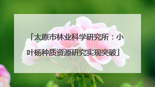 太原市林业科学研究所：小叶杨种质资源研究实现突破