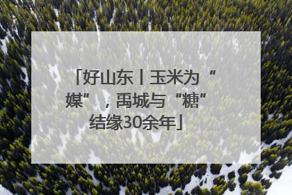 好山东丨玉米为“媒”，禹城与“糖”结缘30余年