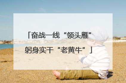 奋战一线“领头雁” 躬身实干“老黄牛”