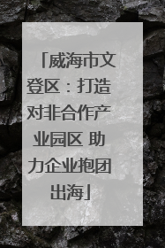 威海市文登区：打造对非合作产业园区 助力企业抱团出海