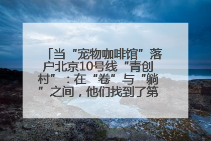 当“宠物咖啡馆”落户北京10号线“青创村”：在“卷”与“躺”之间，他们找到了第三种生活公式