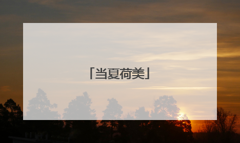 当夏荷美