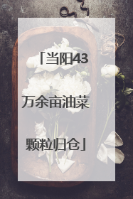 当阳43万余亩油菜颗粒归仓