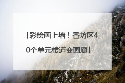 彩绘画上墙！香坊区40个单元楼道变画廊