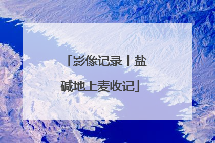 影像记录丨盐碱地上麦收记