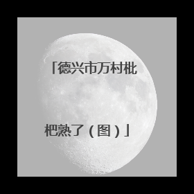 德兴市万村枇杷熟了（图）