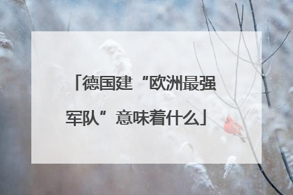 德国建“欧洲最强军队”意味着什么