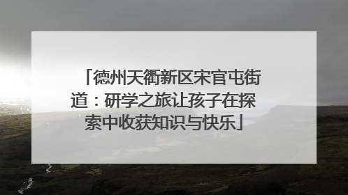 德州天衢新区宋官屯街道：研学之旅让孩子在探索中收获知识与快乐