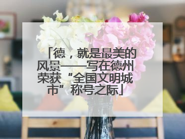 德，就是最美的风景——写在德州荣获“全国文明城市”称号之际