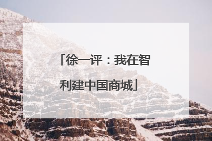 徐一评：我在智利建中国商城